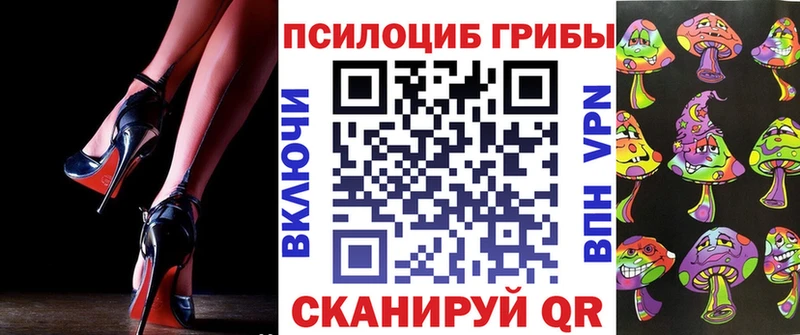 наркотики  Жердевка  кракен ONION  Галлюциногенные грибы Magic Shrooms 